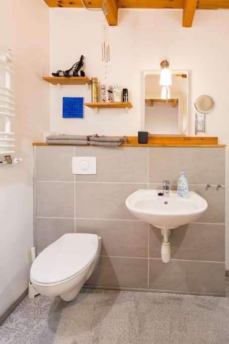 Apartment Wilhelmstr Fuer Bis Zu 3 Personen Brühl Exterior foto